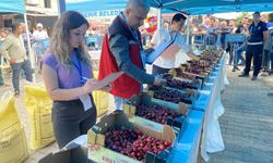 Manisa'da yılın en güzel kirazı seçildi