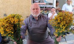 Bu çiçek hediye için değil sağlık için alınıyor