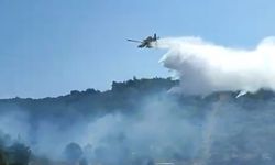 Kuşadası'nda orman yangını
