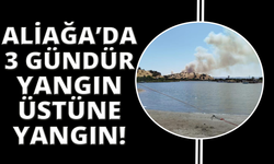 Aliağa’da bir orman yangını daha