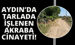 Tarlada ekin sulayan akrabasını vurdu