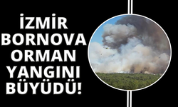 Bornova'daki yangın büyüdü, müdahale sürüyor
