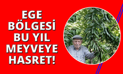 Ege bu yıl meyveye hasret