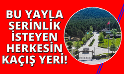 Kefe Yaylası doğa tutkunlarını bekliyor