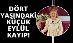 Muğla'da 4 yaşındaki Eylül her yerde aranıyor