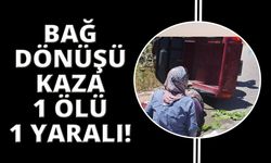 Manisa'da bağdan dönen kadınlar kaza yaptı
