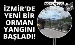 İzmir Menderes'te orman yangını
