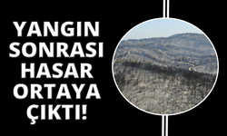Yangında ağılları yanan vatandaşlar korku dolu anları anlattı