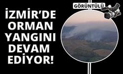 İzmir'de orman yangını sürüyor