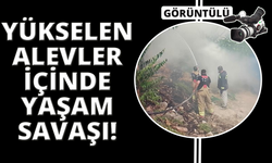 Manisa'da alevlerin içinde hayatta kalma mücadelesi