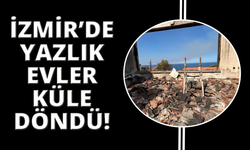 İzmir'deki yangında evlerin yandığı bölge havadan görüntülendi