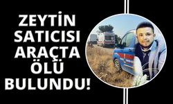 Manisa'da bir kişi aracında ölü bulundu