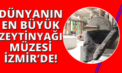 İzmir'deki bu müze Anadolu zeytin kültürünü dünyaya tanıtıyor
