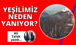 Ormanlarımız Neden Yanıyor, Yakılıyor?