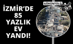 İzmir’deki yangında 85 yazlık ev küle döndü