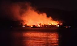 Milas'ta orman yangını