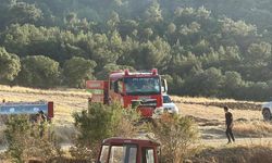 Uşak’taki orman yangınıyla ilgili 2 kişi gözaltına alındı
