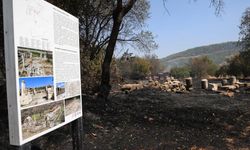 2 bin 500 yıllık antik kentin ciğerleri yandı
