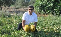 Kırkağaç Kavunu AB’den tescil alan 38. ürün oldu