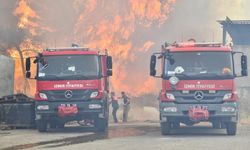 Bornova’da orman yangınını söndürme çalışmaları devam ediyor