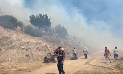 Manisa'daki orman yangını kontrol altına alındı