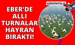Eber Gölü'nün geçici ev sahipleri allı turnalar havadan görüntülendi