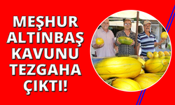 Manisa'da Altınbaş Kavununda hasat başladı