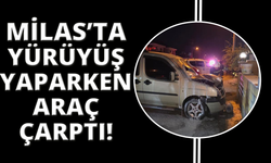 Yürüyüş yaparken otomobilin çarptığı adam hayatını kaybetti