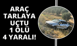 Manisa'da otomobil zeytin bahçesine uçtu