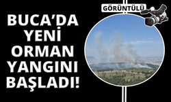 İzmir'de yeni orman yangını