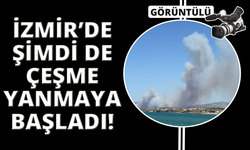Menderes ve Seferihisar'dan sonra Çeşme de yanmaya başladı