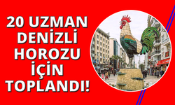20 ilden uzmanlar Denizli Horozu'nun geleceği için buluştu