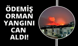 Ödemiş yangınında 81 yaşındaki adam hayatını kaybetti