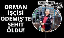 Ödemiş yangınında ikinci acı haber: 1 orman işçisi hayatını kaybetti