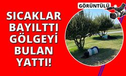 İzmir’de sıcak hava bunalttı, vatandaşlar ağaç gölgelerine kaçtı