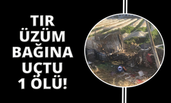Manisa'da üzüm bağına uçan tırın şoförü hayatını kaybetti