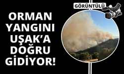 Manisa'daki yangın Uşak'a doğru ilerliyor