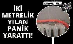 Kütahya'da restoran tuvaletindeki yılan korkuttu
