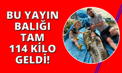Manisa'da 114 kiloluk yayın balığı yakalandı