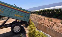 Sarıgöl’de çıkma üzüm 16 TL’ye yükseldi