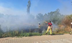Selçuk'ta sazlık alanda yangın paniği