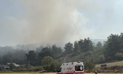 İzmir'deki orman yangınıyla ilgili 3 gözaltı