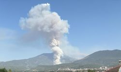 Denizli'de orman yangını