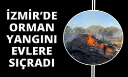 Bergama’da orman yangını evlere sıçradı