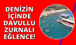 Mahalleliden denizin ortasında davul zurnalı eğlence