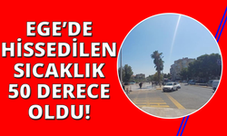 Aydın’da hissedilen sıcaklık 50 dereceye yaklaştı