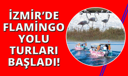 İzmir'de Flamingo Yolu turları başladı