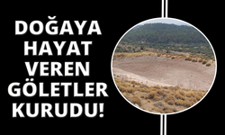 Manisa'da köylüye ve doğaya hayat veren göletler kuruyor