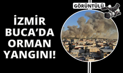 İzmir Buca'da orman yangını