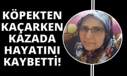İzmir'de köpeklerden kaçan kadın kazada hayatını kaybetti